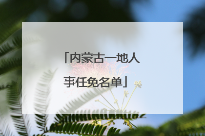 内蒙古一地人事任免名单