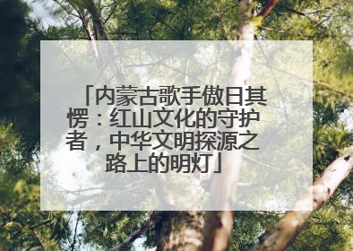 内蒙古歌手傲日其愣：红山文化的守护者，中华文明探源之路上的明灯
