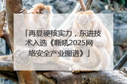 再显硬核实力，东进技术入选《嘶吼2025网络安全产业图谱》