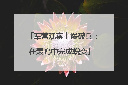 军营观察丨爆破兵：在轰鸣中完成蜕变