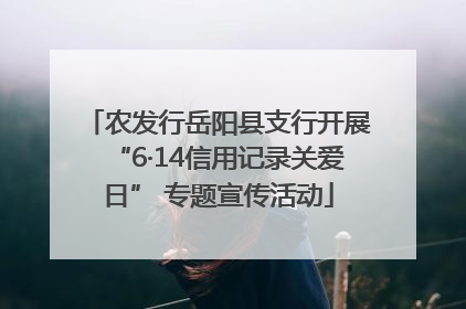 农发行岳阳县支行开展“6·14信用记录关爱日” 专题宣传活动