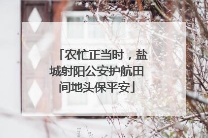 农忙正当时，盐城射阳公安护航田间地头保平安