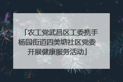农工党武昌区工委携手杨园街道四美塘社区党委开展健康服务活动