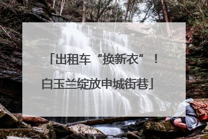 出租车“换新衣”！白玉兰绽放申城街巷