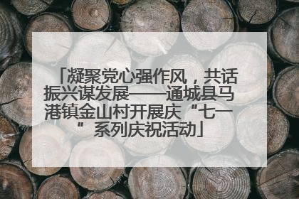 凝聚党心强作风，共话振兴谋发展——通城县马港镇金山村开展庆“七一”系列庆祝活动