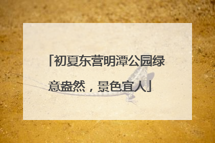 初夏东营明潭公园绿意盎然，景色宜人