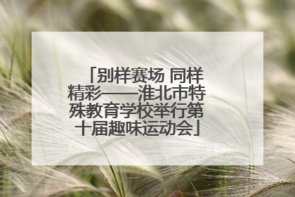 别样赛场 同样精彩——淮北市特殊教育学校举行第十届趣味运动会
