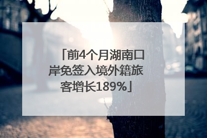 前4个月湖南口岸免签入境外籍旅客增长189%
