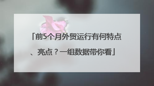 前5个月外贸运行有何特点、亮点？一组数据带你看