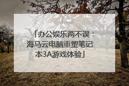 办公娱乐两不误：海马云电脑重塑笔记本3A游戏体验