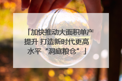 加快推动大面积单产提升 打造新时代更高水平“洞庭粮仓”