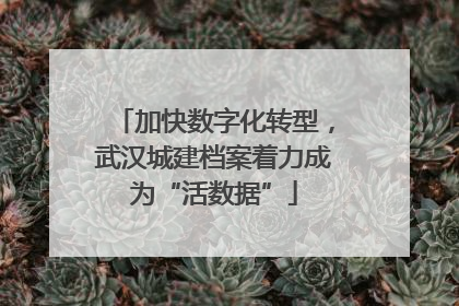 加快数字化转型，武汉城建档案着力成为“活数据”