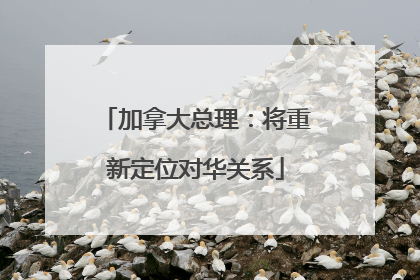 加拿大总理：将重新定位对华关系