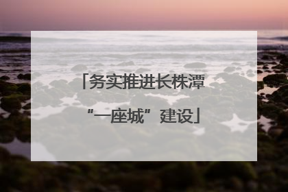 务实推进长株潭“一座城”建设