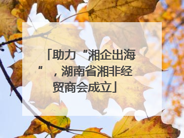 助力“湘企出海”，湖南省湘非经贸商会成立