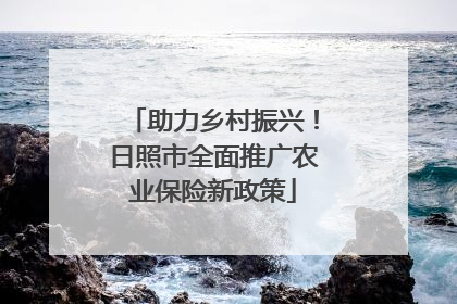 助力乡村振兴！日照市全面推广农业保险新政策
