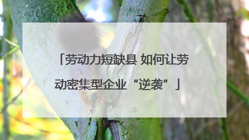 劳动力短缺县 如何让劳动密集型企业“逆袭”