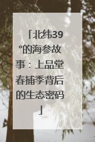 北纬39°的海参故事：上品堂春捕季背后的生态密码