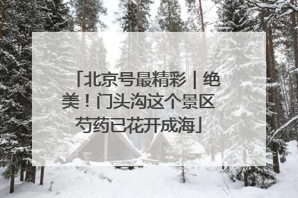 北京号最精彩｜绝美！门头沟这个景区芍药已花开成海