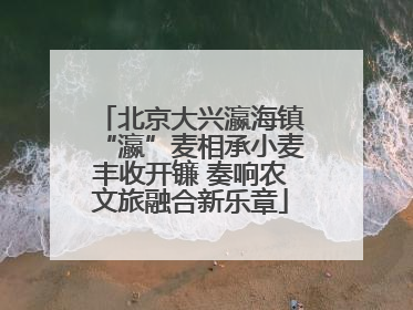 北京大兴瀛海镇“瀛”麦相承小麦丰收开镰 奏响农文旅融合新乐章