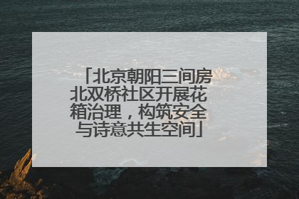 北京朝阳三间房北双桥社区开展花箱治理，构筑安全与诗意共生空间