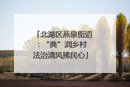 北湖区燕泉街道：“典”润乡村 法治清风拂民心