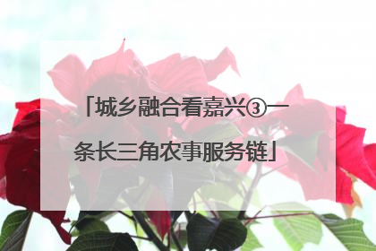城乡融合看嘉兴③一条长三角农事服务链