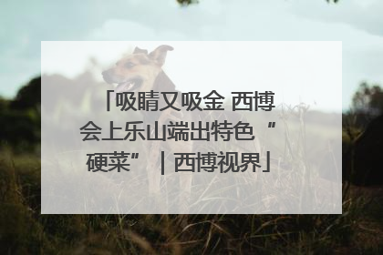 吸睛又吸金 西博会上乐山端出特色“硬菜”｜西博视界