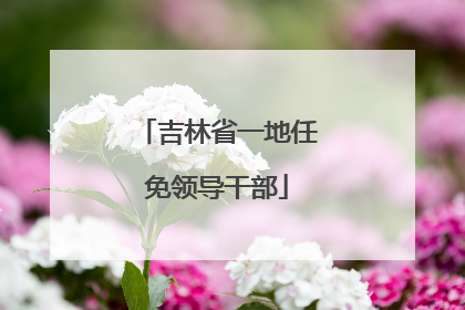 吉林省一地任免领导干部