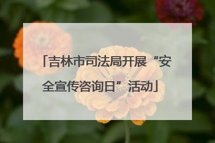 吉林市司法局开展“安全宣传咨询日”活动