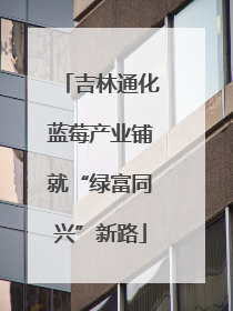 吉林通化蓝莓产业铺就“绿富同兴”新路