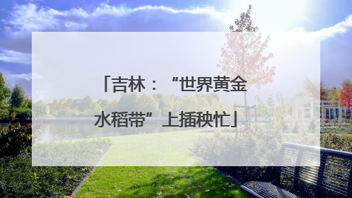 吉林：“世界黄金水稻带”上插秧忙