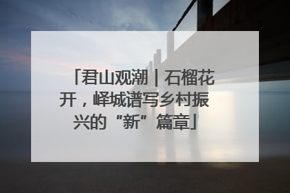 君山观潮｜石榴花开，峄城谱写乡村振兴的“新”篇章