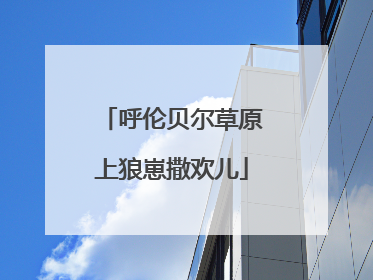 呼伦贝尔草原上狼崽撒欢儿