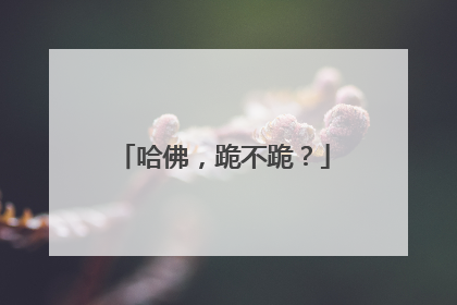 哈佛，跪不跪？