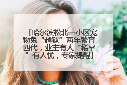 哈尔滨松北一小区宠物兔“越狱”两年繁育四代，业主有人“稀罕”有人忧，专家提醒