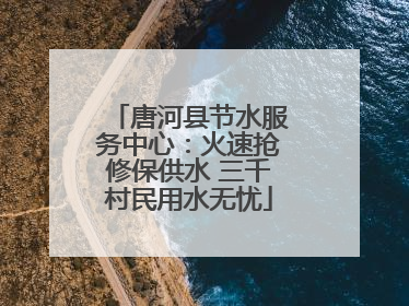 唐河县节水服务中心：火速抢修保供水 三千村民用水无忧