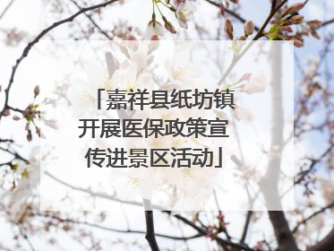 嘉祥县纸坊镇开展医保政策宣传进景区活动