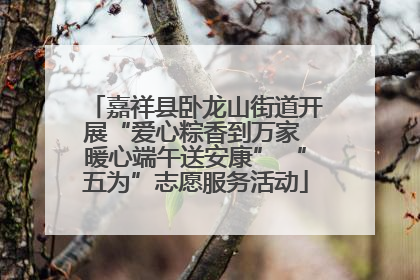 嘉祥县卧龙山街道开展“爱心粽香到万家 暖心端午送安康” “五为”志愿服务活动
