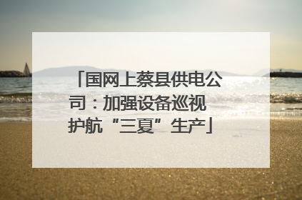 国网上蔡县供电公司：加强设备巡视 护航“三夏”生产