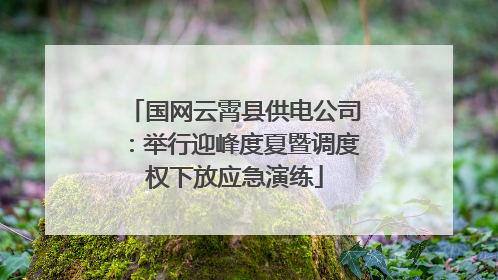 国网云霄县供电公司：举行迎峰度夏暨调度权下放应急演练