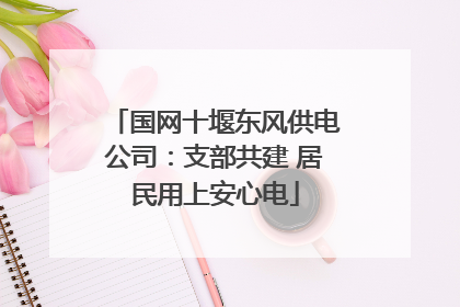 国网十堰东风供电公司：支部共建 居民用上安心电