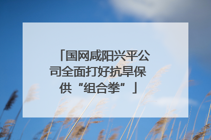 国网咸阳兴平公司全面打好抗旱保供“组合拳”