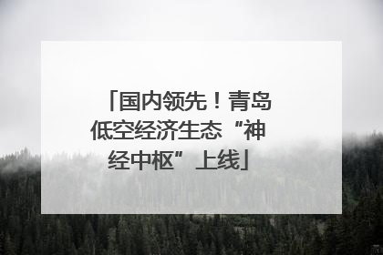 国内领先！青岛低空经济生态“神经中枢”上线