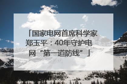 国家电网首席科学家郑玉平：40年守护电网“第一道防线”