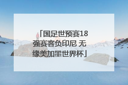 国足世预赛18强赛客负印尼 无缘美加墨世界杯