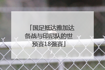 国足抵达雅加达备战与印尼队的世预赛18强赛