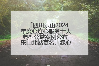 四川乐山2024年度心连心服务十大典型公益案例公布 乐山北站更名、绿心路井盖治理等上榜