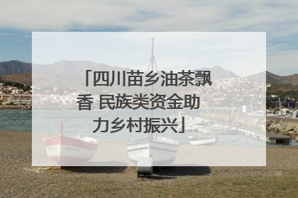 四川苗乡油茶飘香 民族类资金助力乡村振兴