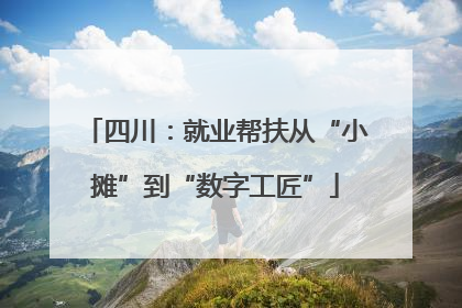 四川：就业帮扶从“小摊”到“数字工匠”